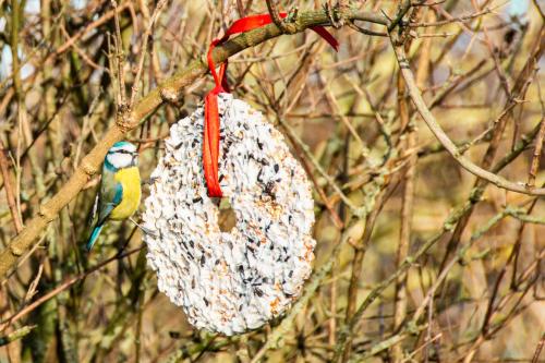 Animales en el bed and breakfast o alrededores