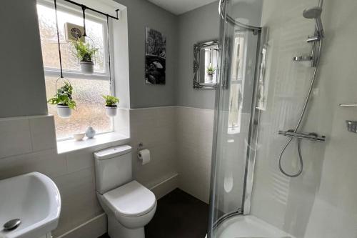 a bathroom with a shower and a toilet and a sink at Pavilion View in Buxton