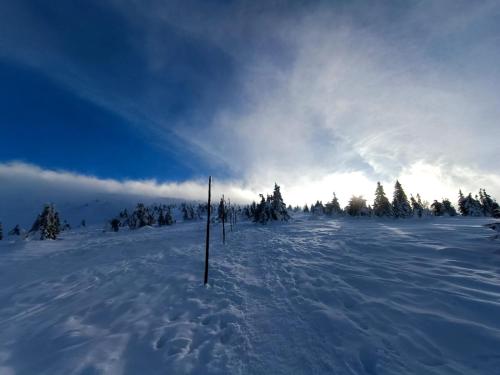 a pole in the snow on a snow covered slope at Apartament Nina in Jelenia Góra