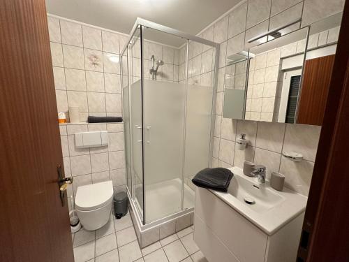a bathroom with a shower and a sink and a toilet at Ferienwohnung zum Winterberg in Elsterwerda