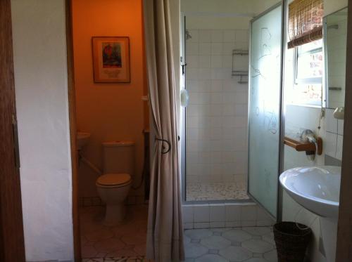 a bathroom with a shower and a toilet and a sink at Guinea Fowl Loft in Knysna