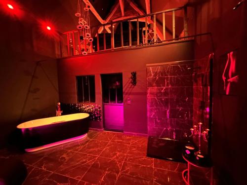 a bathroom with a tub and purple lights in it at Loveroom de luxe - Thème 50 nuances de grey maison privative spa insolite in Douchy-les-Mines