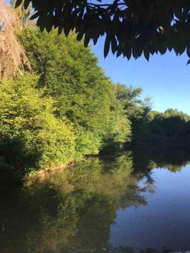 a view of a river with trees on the side at Ancient Mill with Beautiful Lake and Streams in Les Riffes