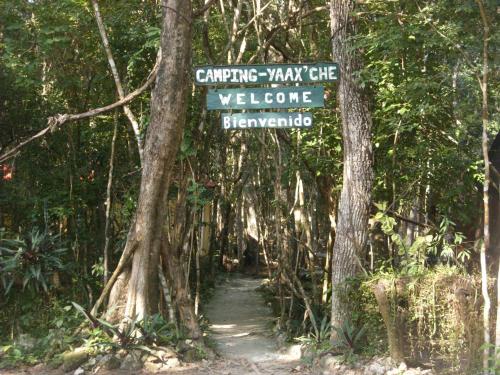 a sign on a trail in the woods at Campamento Yaax Che en Calakmul in Conhuas