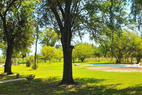 un parque con un árbol y una piscina en Casa de campo en Zapiola , Lobos, Buenos Aires. en Lobos
