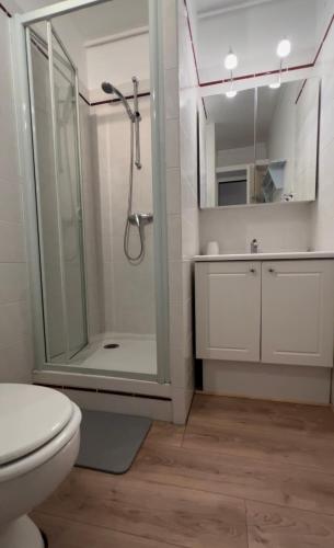 une salle de bain avec une douche, des toilettes et un lavabo dans l'établissement Studio Saint Lary Pla d adet 5 couchages, à Saint-Lary-Soulan