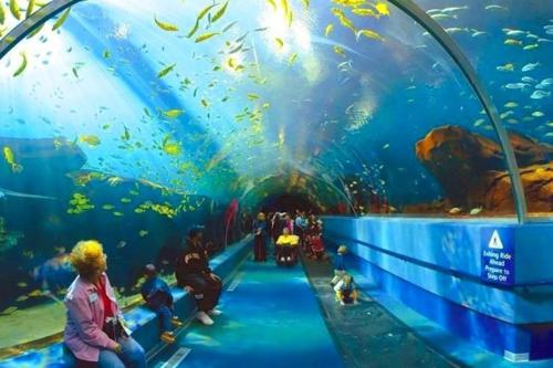 Επισκέπτες που μένουν στο Espacioso 140 m2 y calidad a 250 metros playa y puerto deportivo 5hab 2 baños VUT2917AS