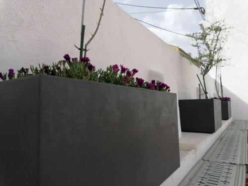 a planter with purple flowers on a wall at Casa do Lado - The next door in Seixal