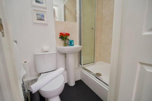 a bathroom with a toilet and a sink and a shower at Swan Studio One - Coventry in Coventry