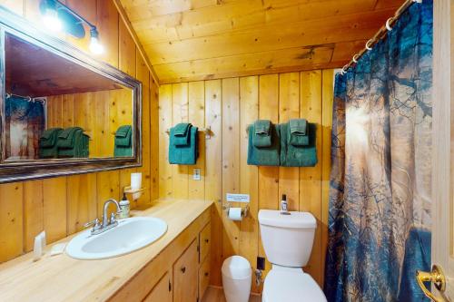 ein Badezimmer mit einem WC, einem Waschbecken und einem Spiegel in der Unterkunft Rio Vista Haven in South Fork