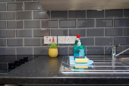a kitchen counter with a bottle of detergent on a sink at Swan Studio Two - Coventry in Coventry