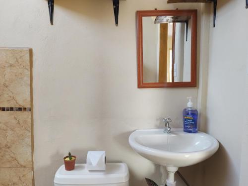W łazience znajduje się umywalka, lustro i toaleta. w obiekcie The Farm's Rooms Arenal w mieście Fortuna