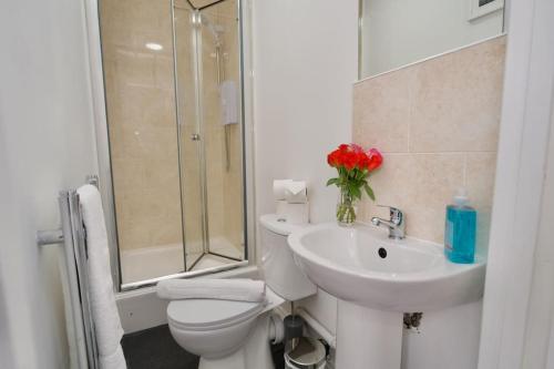 ein Bad mit einem WC, einem Waschbecken und einer Dusche in der Unterkunft Swan Studio Nine - Coventry in Coventry
