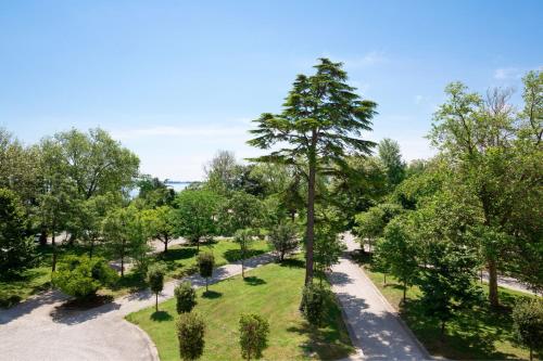 an aerial view of a park with a tree at JW Marriott Venice Resort & Spa in Venice