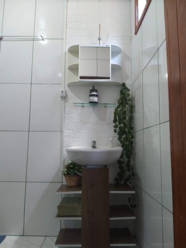 a white bathroom with a sink and a plant at Chalé Limoeiro á 15 minutos de Gonçalves MG in Gonçalves