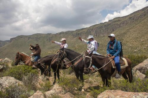 a group of men riding horses in the mountains at Lodge Mirador San Antonio- Colca in Coporaque