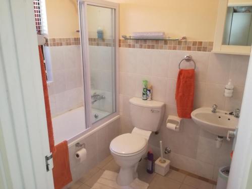 a bathroom with a toilet and a shower and a sink at Captain's Sea Cabin in Cape Town