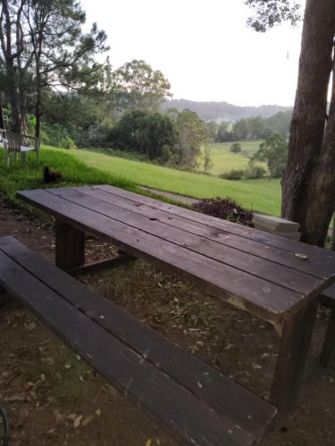drewniany stół piknikowy siedzący obok drzewa w obiekcie Camp NATURE w mieście Bli Bli