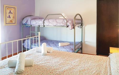 1 Schlafzimmer mit 2 Etagenbetten in einem Zimmer in der Unterkunft Cozy Home In Olvera With Wifi in Olvera