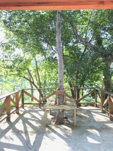 Mango Walk Inn – Photos 3