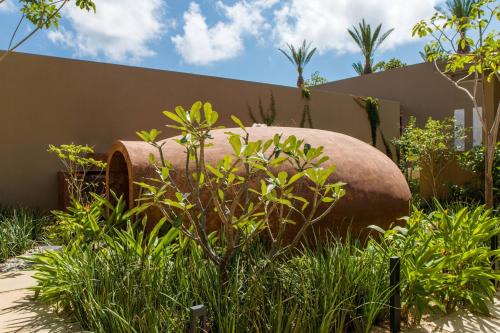 a large rock sitting in the middle of a garden at JW Marriott Los Cabos Beach Resort & Spa in San José del Cabo