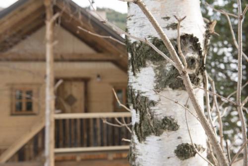 a tree trunk with a house in the background at Baumgartner - Bauernhaus in Weißkirchen in Steiermark
