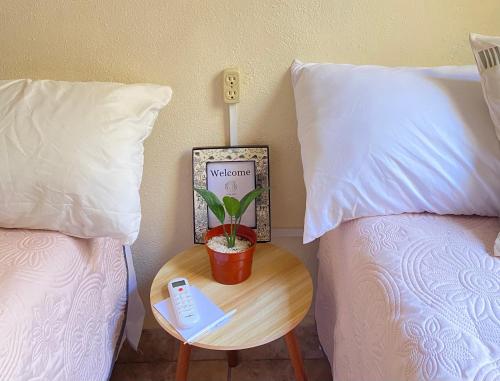 a table with a plant on it next to two beds at Casa ALOA Ixtapa in Ixtapa