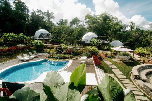 un complexe avec une piscine, des chaises et des arbres dans l'établissement 150 Peakway Mountain Resort, à Dalaguete