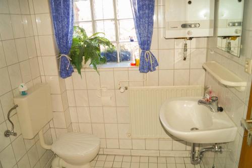 a white bathroom with a toilet and a sink at Ferienwohnungen Tietgen in Katharinenhof