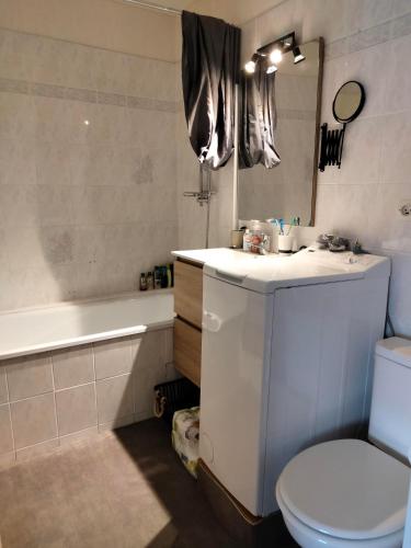une salle de bain avec toilettes, lavabo et baignoire dans l'établissement Studio tout équipé refait à neuf, à Balaruc-les-Bains