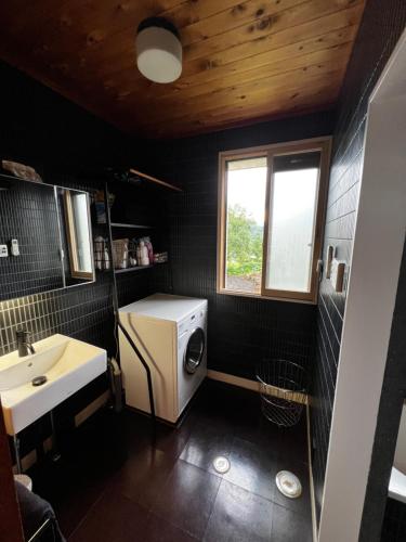 a bathroom with a sink and a washing machine in it at NIKONOS III in Nozawa Onsen
