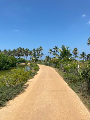 a dirt road with palm trees in the distance at Sea Sand Resort in Kalpitiya