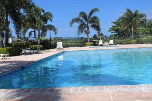 uma piscina com duas cadeiras e palmeiras em Hidden Escape,pool,gated,gym,air-conditioned, em Mammee Bay
