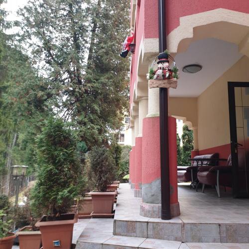 Сад в Casa Rosa