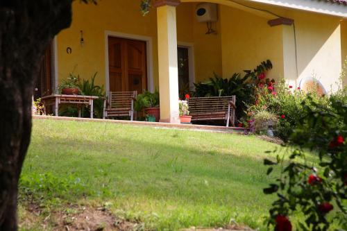 Taman di luar Su Livariu