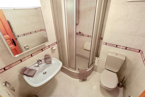 a bathroom with a toilet and a sink and a shower at Logement spacieux et confortable in Chateau-d'Oex