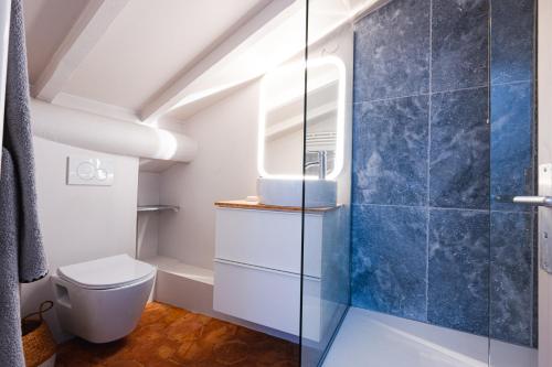 a bathroom with a toilet and a shower at Appart Exceptionnel place du Palais des papes Wifi climatisation in Avignon