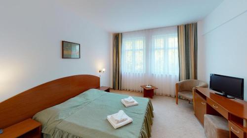 Habitación de hotel con cama y TV en HELIOS, en Ocna Sibiului