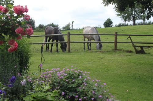 three horses grazing in a field behind a fence at Countryhouse Zuid-Limburg in Nuth