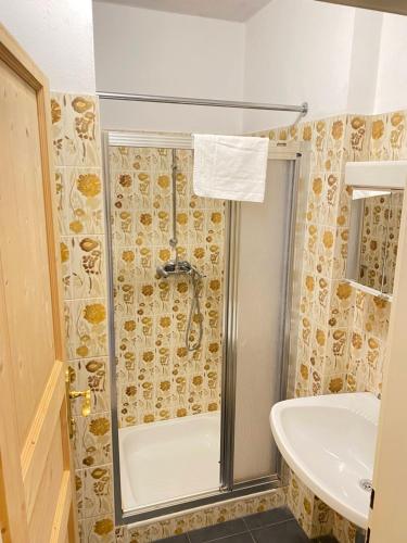 La salle de bains est pourvue d'une douche et d'un lavabo. dans l'établissement Apartment Steinwänd Top 7, à Grünau im Almtal