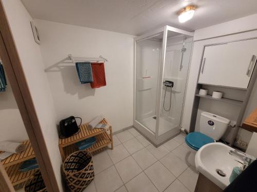 a bathroom with a shower and a toilet and a sink at Sur les bords de Loire in Montlouis-sur-Loire