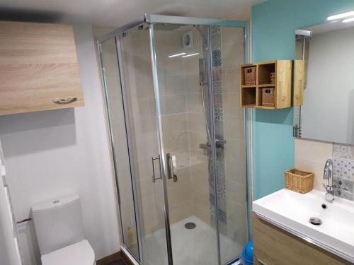 La salle de bains est pourvue d'une douche, de toilettes et d'un lavabo. dans l'établissement Guest house privative pour 2 sur Lege cap Ferret, à Lège