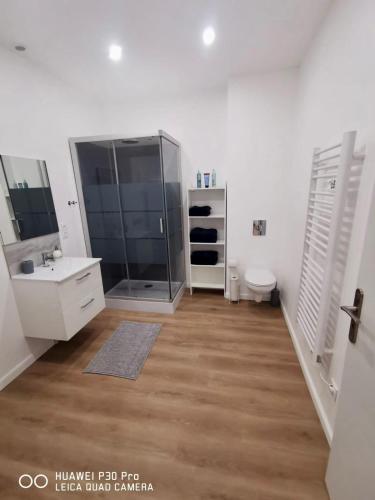 a bathroom with a shower and a toilet and a sink at Appartement 75 m2 au cœur du Sud Ouest in Villeneuve-sur-Lot