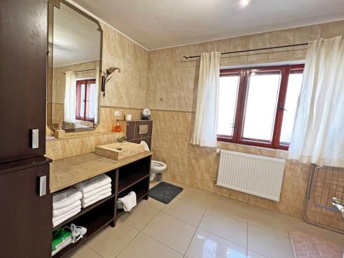 a bathroom with a sink and a mirror and a toilet at Chatka Baby Jagi in Ściegny