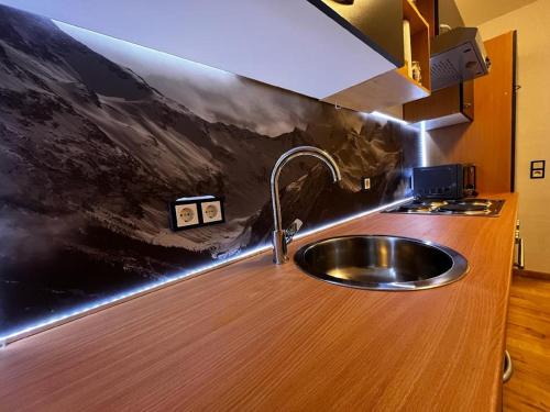 松托芬的住宿－FW-Allgäu，厨房内带水槽的厨房台面
