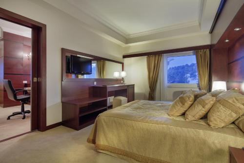 Galeriebild der Unterkunft Palan Ski & Convention Resort Hotel in Erzurum