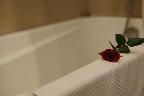 Fotografie z fotogalerie ubytování Rosaleen Boutique Hotel v destinaci Hue