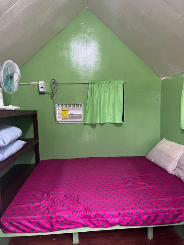 a room with a pink mattress in a green room at ROCA'S HOMESTAY Backpackers Chalet Bohol in Batuan