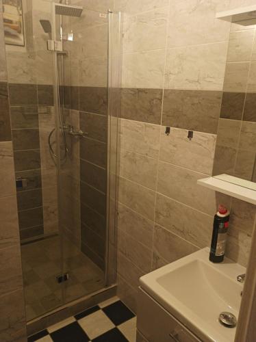 a bathroom with a shower and a sink at u Janků in Zlín