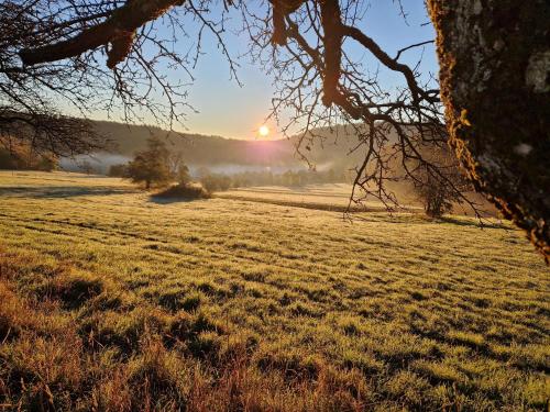 a misty field with the sun setting in the background at Hotel Platzhirsch in Gaggenau
